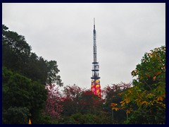 Guangzhou TV Tower seen from Yuexiu Park